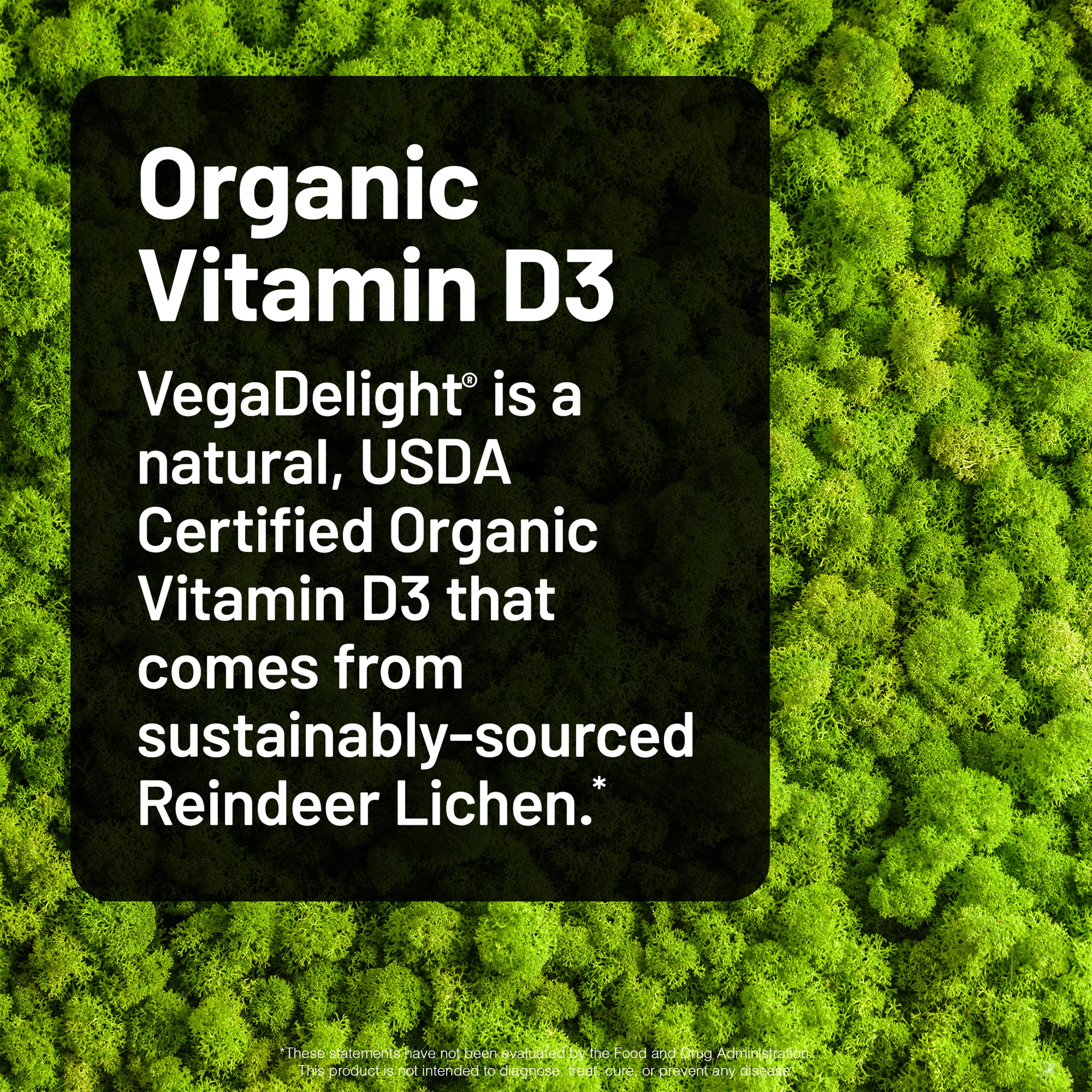 VeganDelight Organic Vitamin D3 product description on a green background