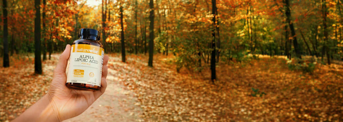 A hand holds a bottle of Alpha Lipoic Acid supplements in the foreground, with a blurred autumn forest path in the background.
