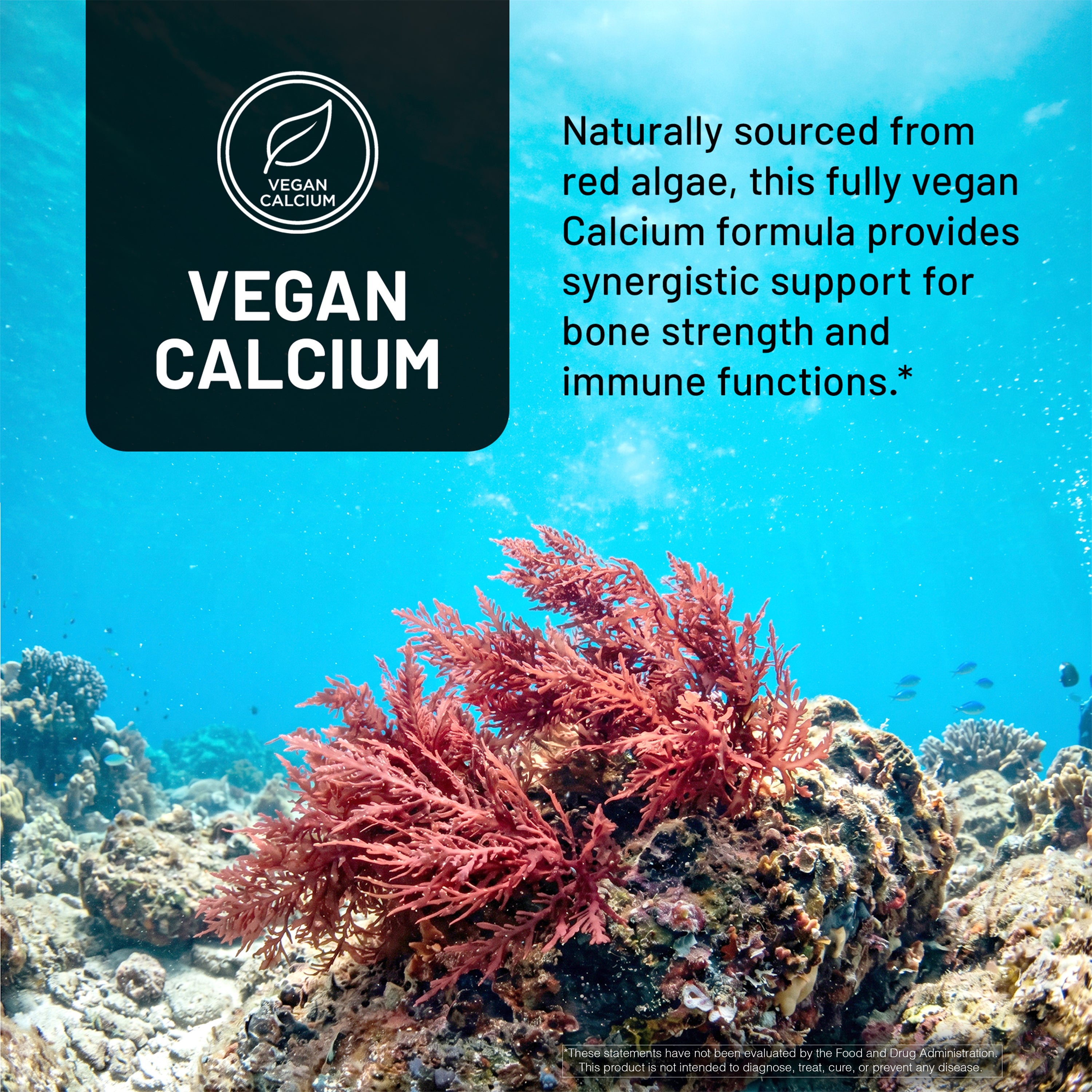 NatureWise Vegan Algae Calcium product with red algae on a coral reef background