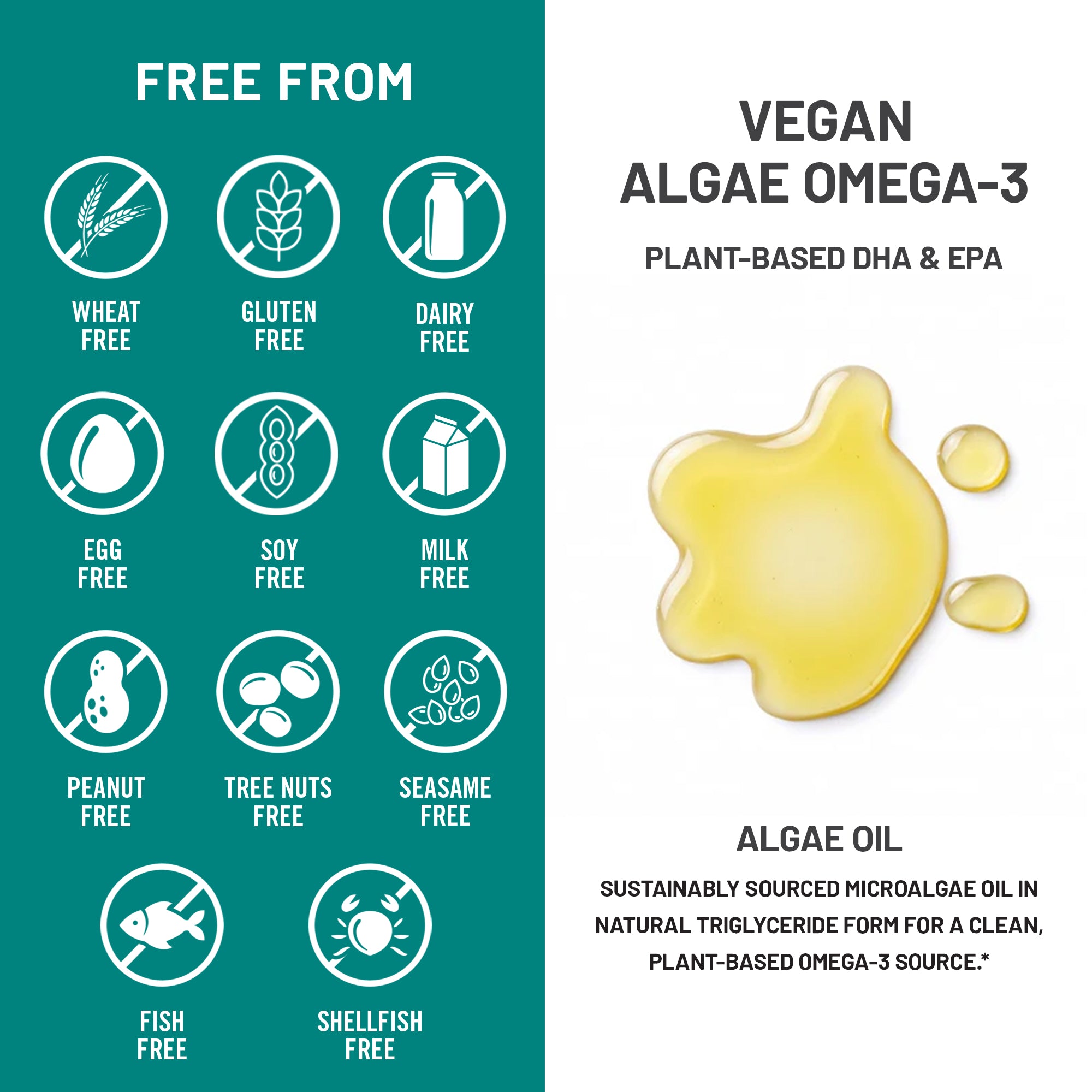An infographic for Vegan Algae Omega-3 displaying a "FREE FROM" checklist of 11 dietary allergens on a teal background. The right side features text describing sustainably sourced microalgae oil alongside liquid golden drops.