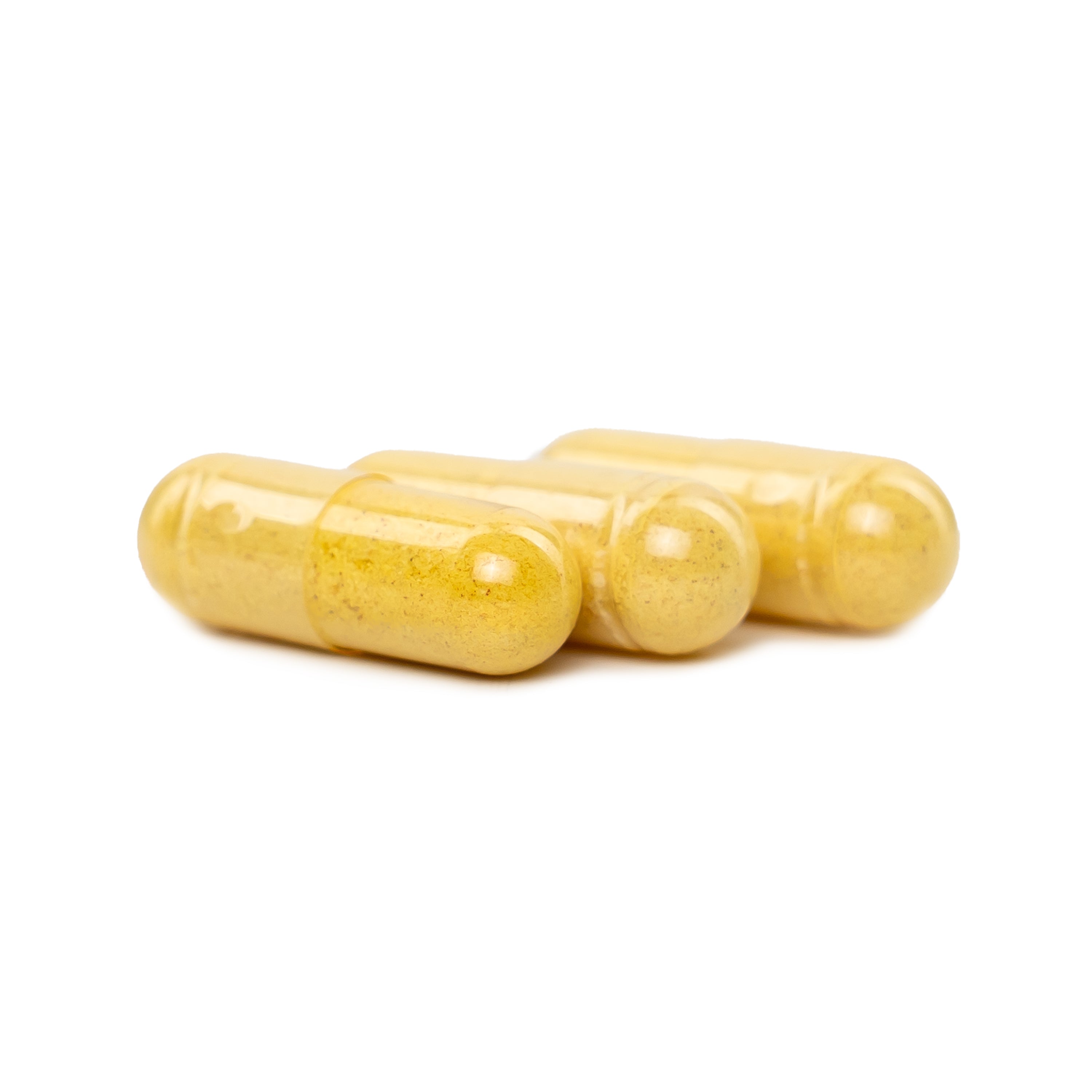 Glucosamine Chondroitin