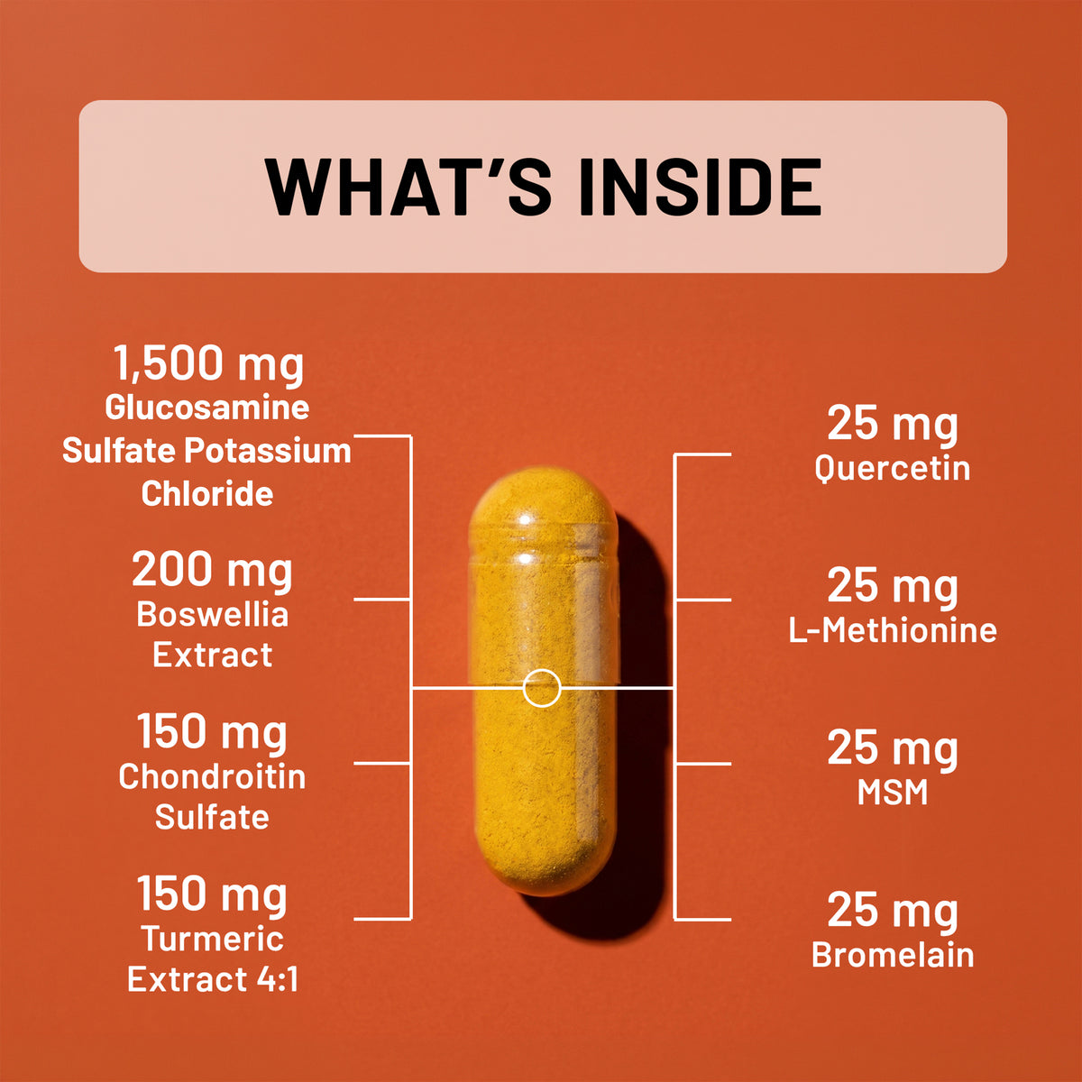 Glucosamine Chondroitin