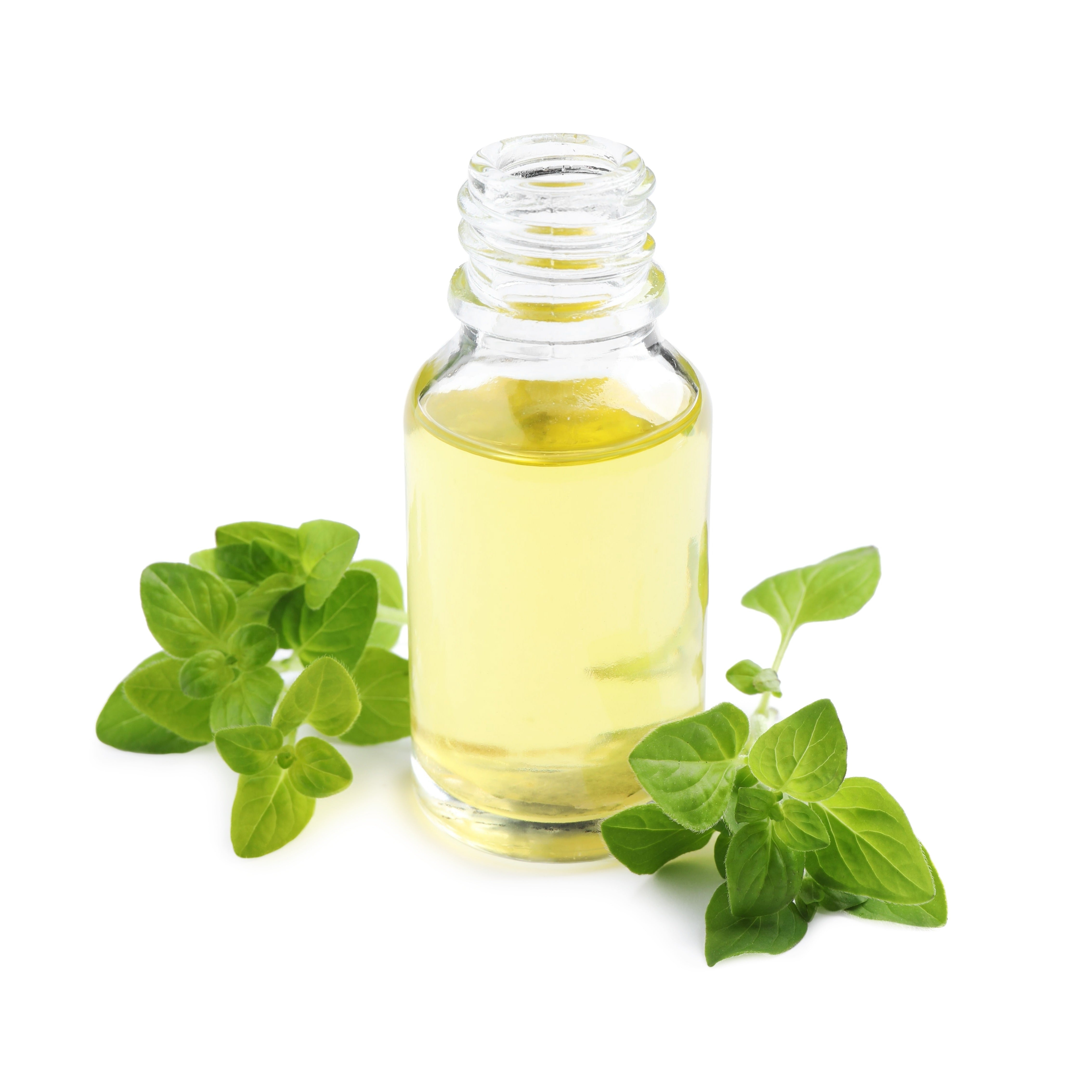 Oregano Oil in a glass vial with Oregano leaf beside it on a white background