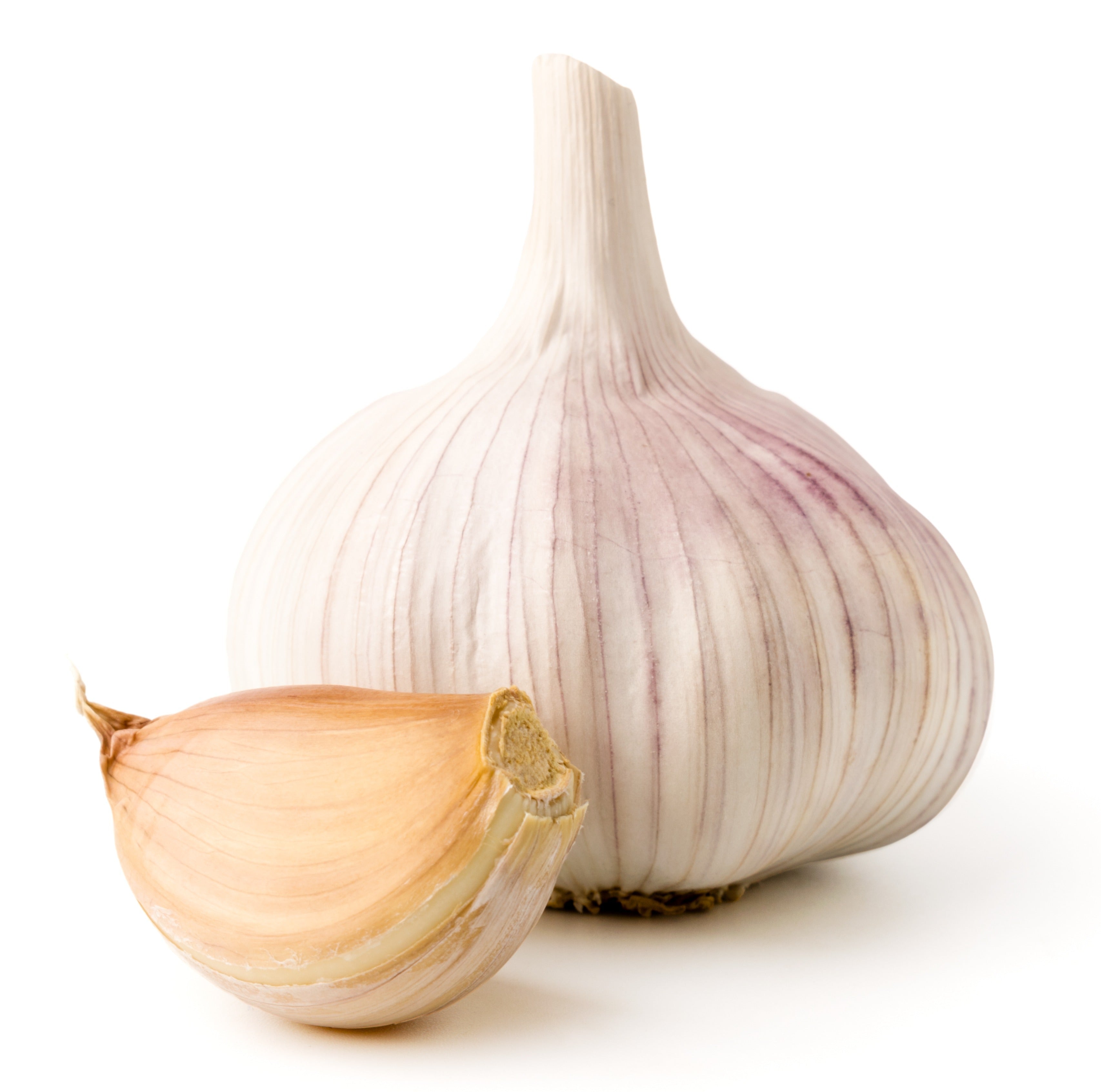 A garlic bulb and clove on a white background