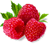 Raspberry Ketones Ingredient