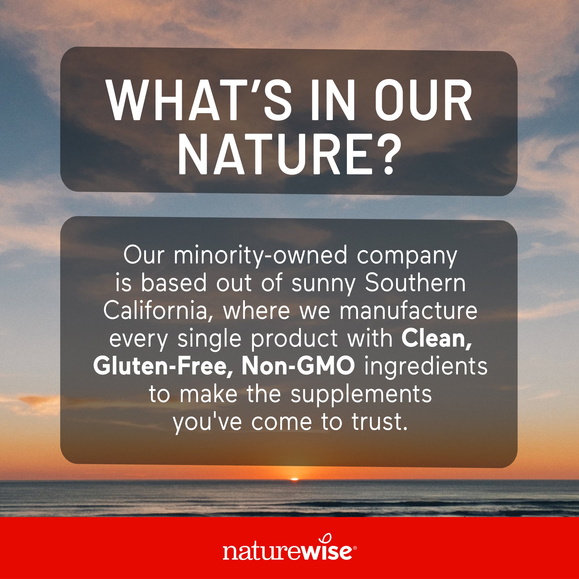 Super B Complex + Vitamin C