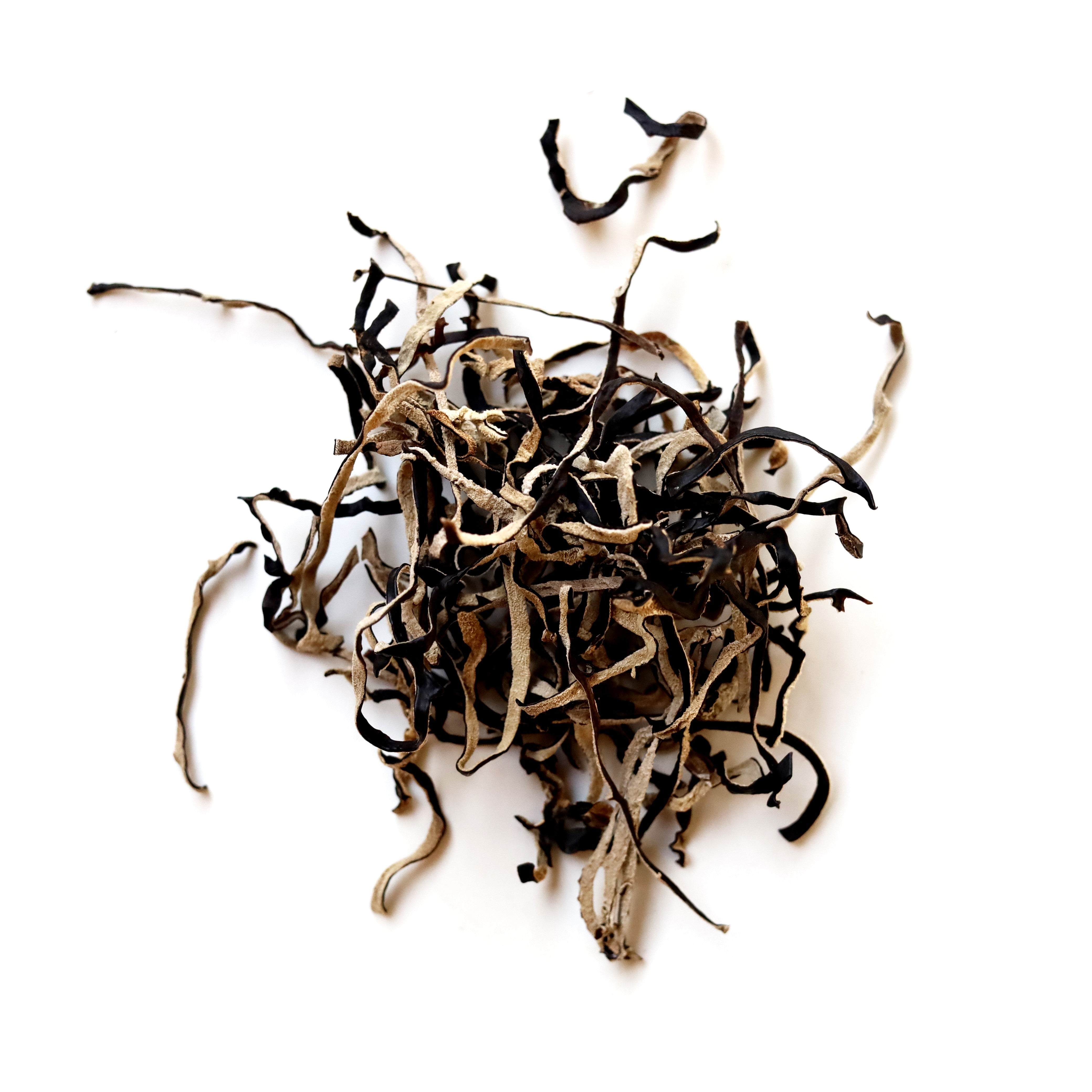A pile of Zylaria botanical complex featuring Xylaria nigripes on a white background