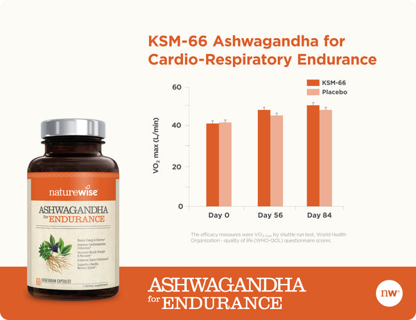 Ashwagandha for Endurance graph