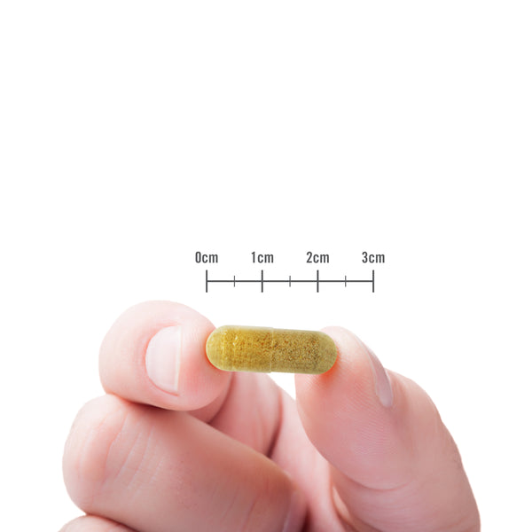 Raspberry Ketones Plus+ capsule size